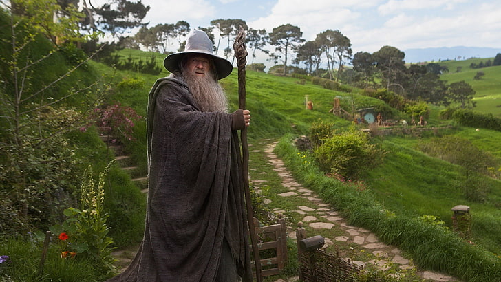 The Lord of the Rings, Gandalf, The Shire, wizard, Ian McKellen, HD wallpaper
