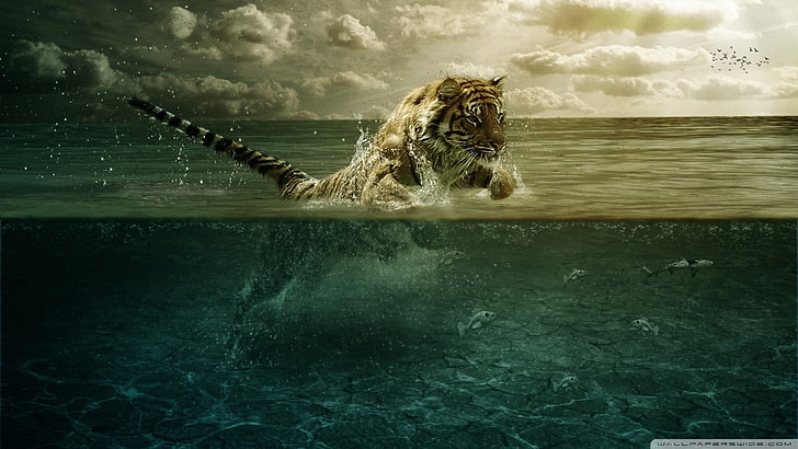 tiger, animals, underwater, digital art, fantasy art, cloud - sky, HD wallpaper