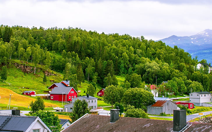 Norway, town, mountains, houses, trees, grass
