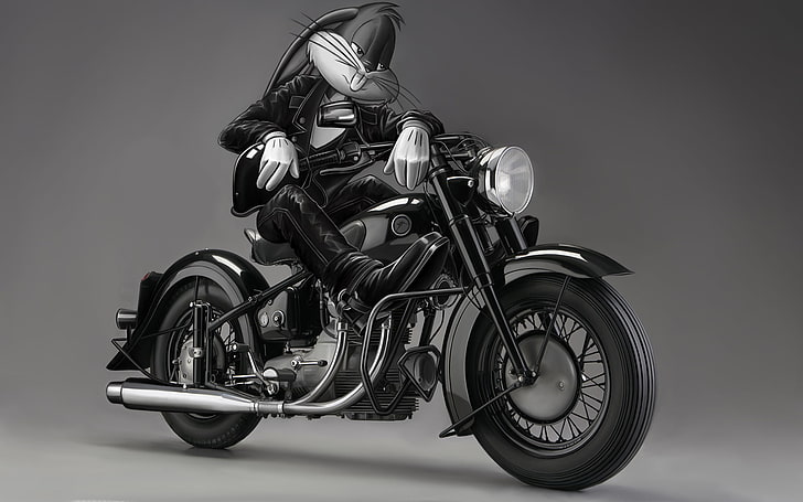 cruiser motorcycle, white, rabbit, jacket, bike, black, Bunny, HD wallpaper