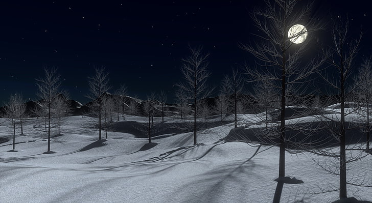 Winter Midnight 3D, tree branch, Artistic, Moon, Dark, Nature, HD wallpaper