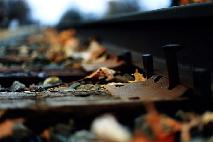 brown railroad, train track, macro, depth of field, railway, leaves, HD wallpaper