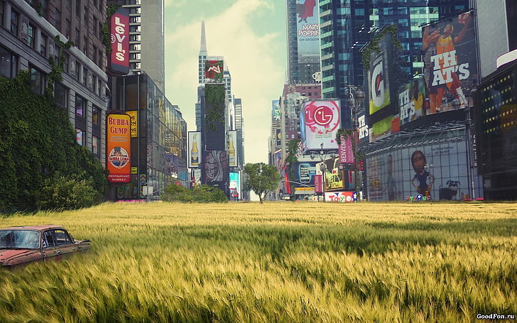 green grass, New York City, overgrown, urban decay, artwork, advertisements