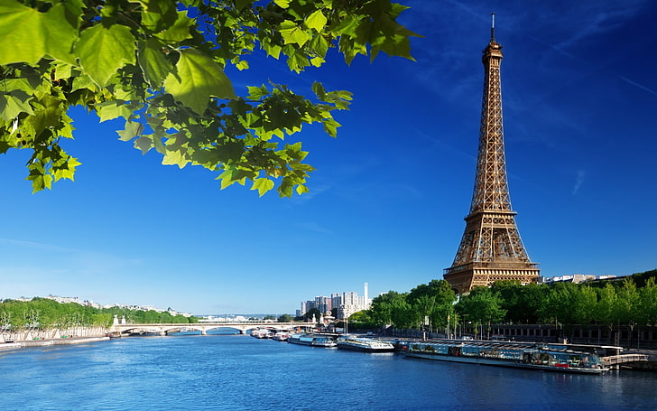 Eiffel Tower, Paris, river, tree, water, plant, nautical vessel