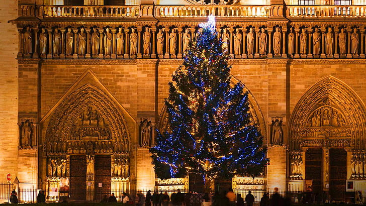 HD wallpaper: Notre Dame de Paris, France, Cathedral, Christmas, Christmas  tree | Wallpaper Flare