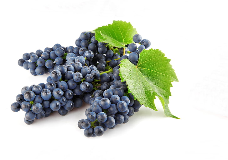blue berries, grapes, fruit, branch, vine, ripe, food, bunch, HD wallpaper