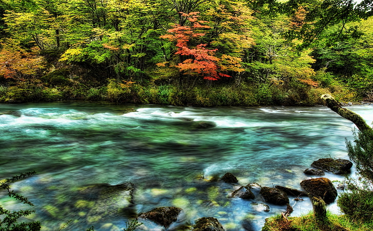 The River Passed The Quivering Forest In The..., brown and green trees