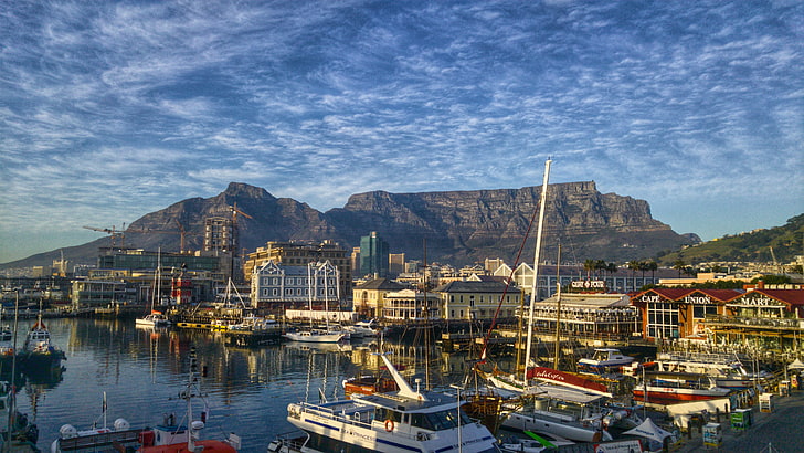 yacht club near buildings, cape town, africa, shore, boats, mountains