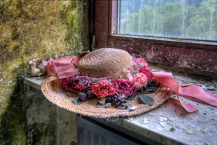 hat, dust, window, no people, plant, day, flower, nature, pink color