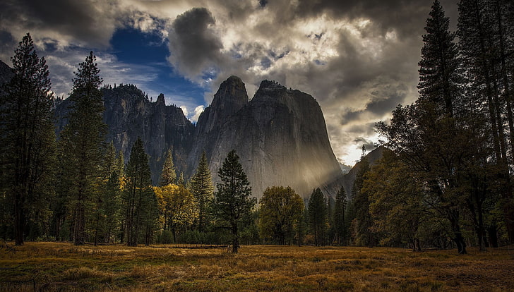 nature, landscape, mountains, Yosemite National Park, USA, trees, HD wallpaper