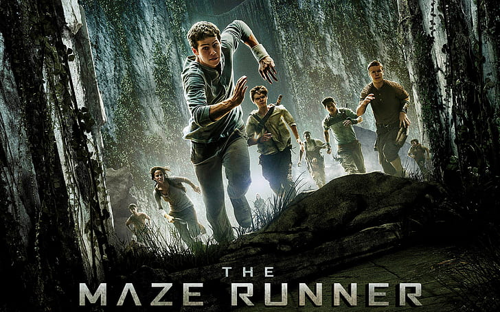 The Maze Runner, HD wallpaper