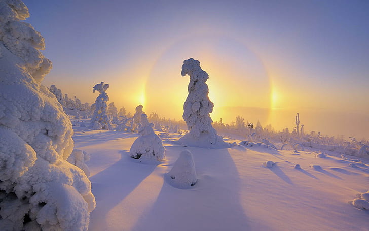 Winter Snow Sunset Free Pictures, sunrise - sunset, HD wallpaper