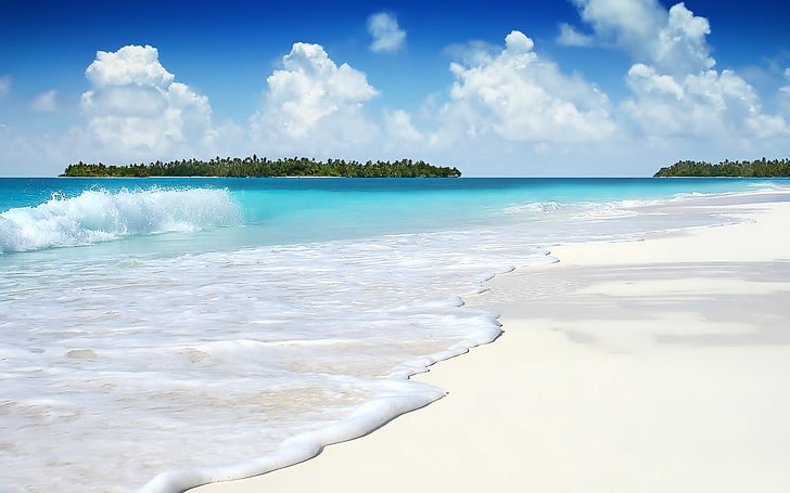 body of water poster, wave, ocean, islands, palm trees, coast, HD wallpaper