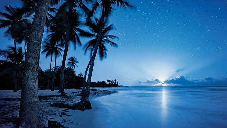starry night, coastline, seashore, blue water, night sky, horizon, HD wallpaper