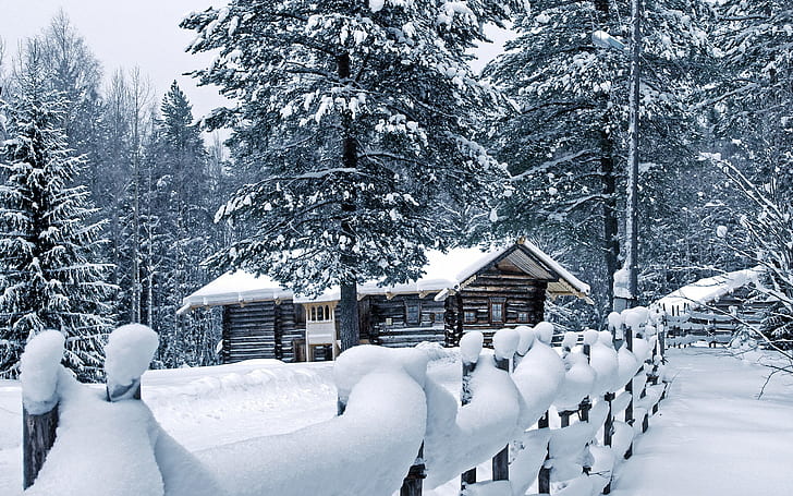 Cabin Trees Forest Snow Winter Fence HD, nature