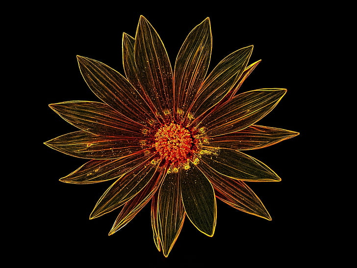 Wallpaper  neon flowers digital art 3840x2160  Lysander666  1748259   HD Wallpapers  WallHere