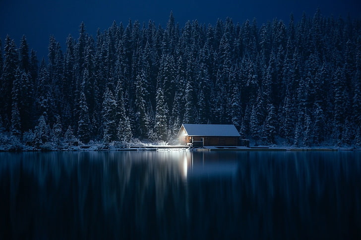 brown and white house, photography, nature, cabin, winter, forest