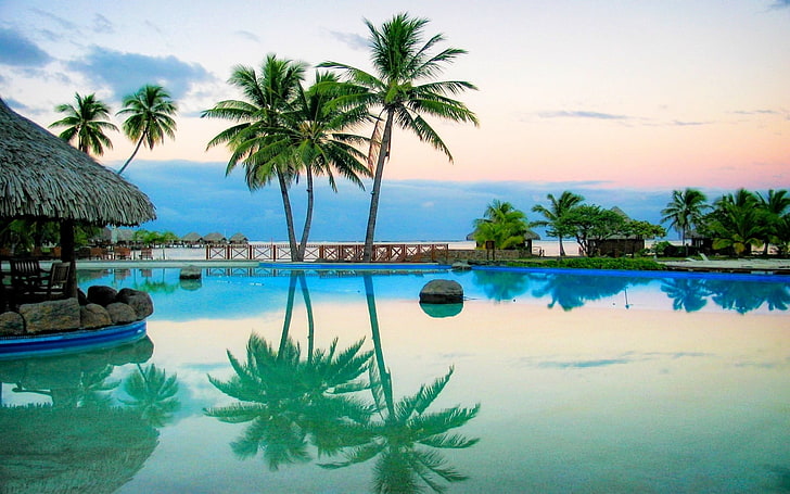two coconut trees, nature, landscape, swimming pool, reflection, HD wallpaper
