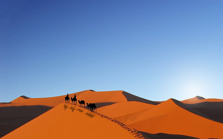 desert illustration, camels, sky, sand, landscape, clear sky, HD wallpaper