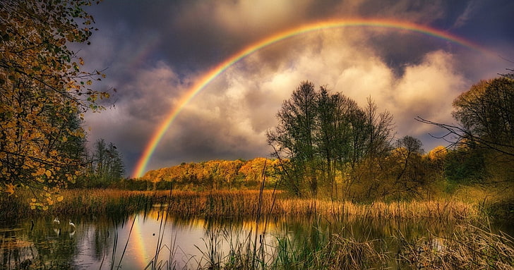 Earth, Rainbow, Nature, Swamp