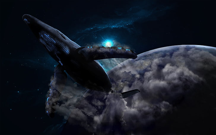 gray airplane, space, whale, science fiction, nature, animals in the wild