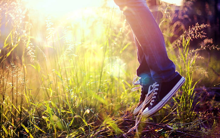shoes, jumping, sunlight
