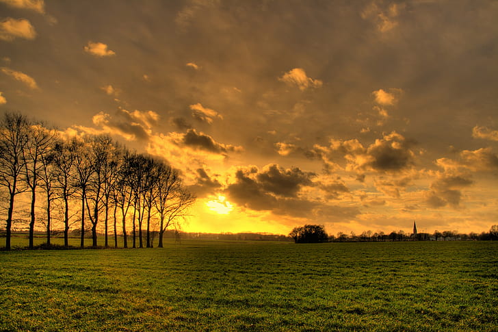 greenfield grass with trees beside under cloudy sky at during \sunset, dutch, dutch