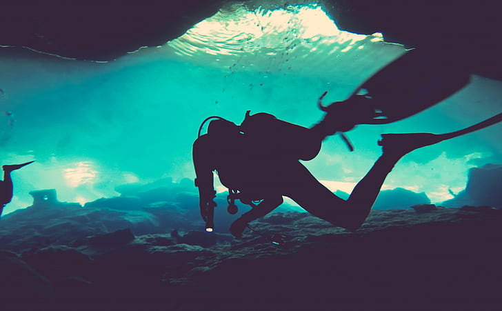 underwater, sea, divers, undersea, swimming, aquatic sport, HD wallpaper