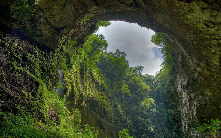 nature, arch, cave, trees, Puerto Rico, rocks