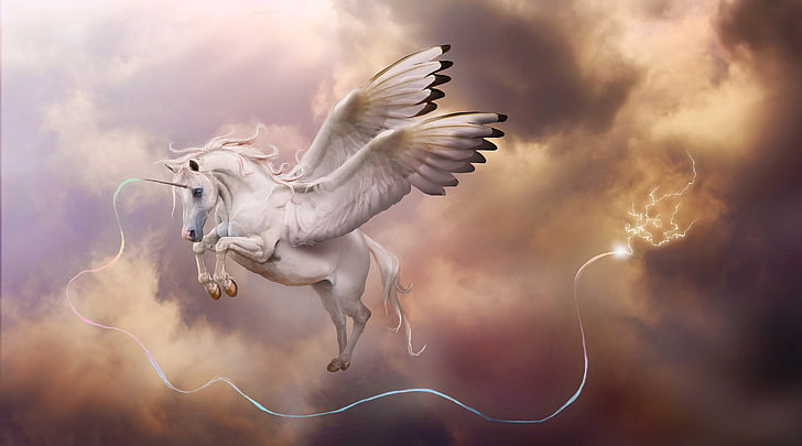white horned pegasus, the storm, clouds, magic, lightning, wings, HD wallpaper