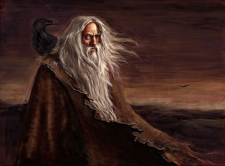 man wearing robe with raven, painting, Vikings, mythology, Odin