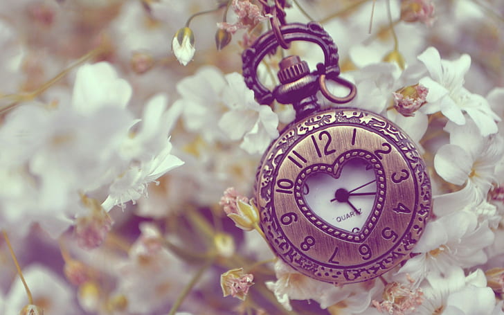 clocks, flowers, HD wallpaper