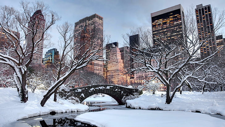 snow, winter, united states, new york city, tree, sky, building, HD wallpaper