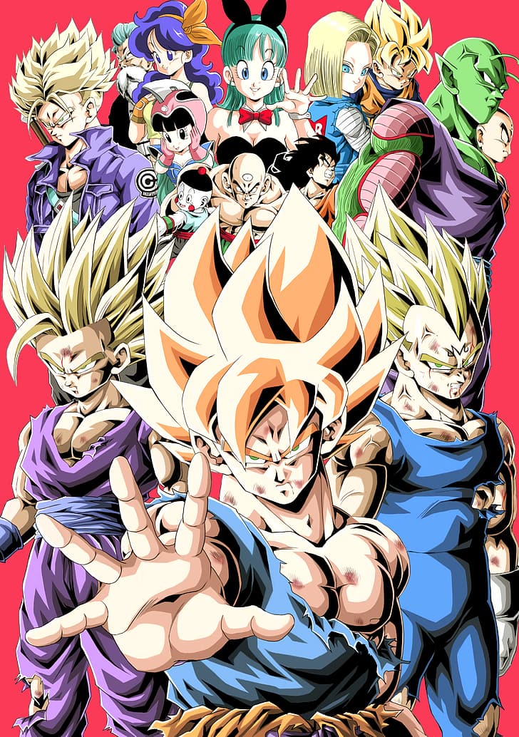  Fondo de pantalla HD Dragon Ball Z, Son Goku, Gohan, Vegeta, Piccolo, Bulma, Tien Shinhan