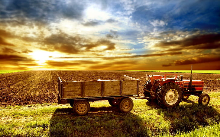 Typical tractor outside his field, red and black tractor, sunset, HD wallpaper