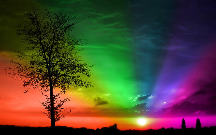 Sunset Rainbow, silhouette of tree, Abstract, colorful, beautyful, HD wallpaper