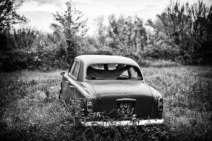 grayscale photography of vintage car, monochrome, wreck, shrubs