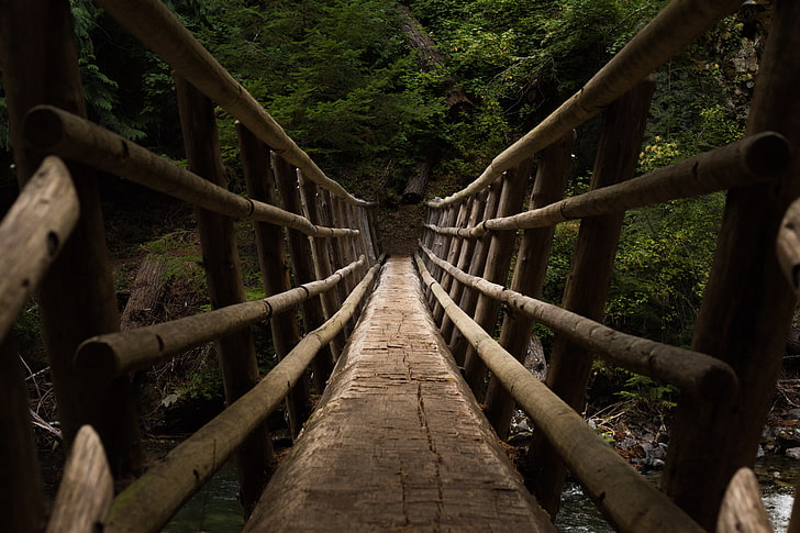 brown wooden bridge, descent, trees, nature, forest, bridge - Man Made Structure, HD wallpaper