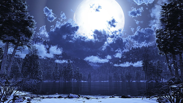 nature, sky, moonlight, winter, supermoon, tree, full moon, HD wallpaper