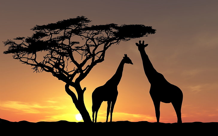 silhouette of giraffe beside the tree, nature, landscape, animals, HD wallpaper