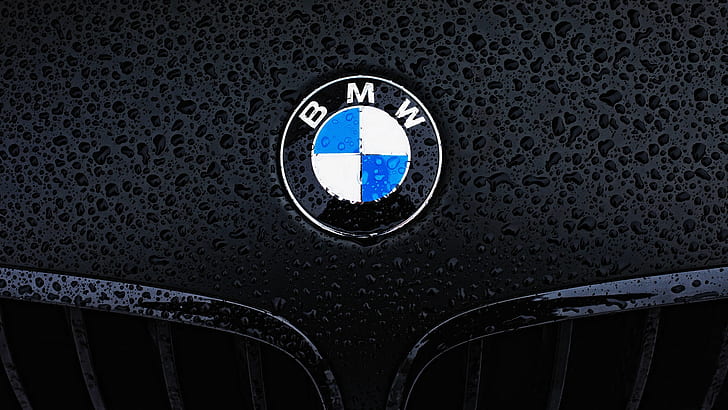 BMW logo bmw logo HD wallpaper  Peakpx