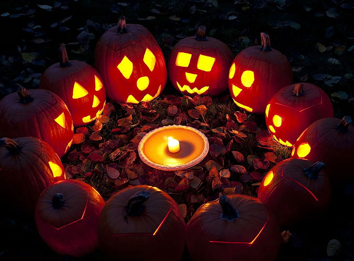 halloween, holiday, pumpkin, circle, candle, leaves, HD wallpaper