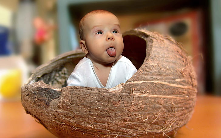 Baby Coconut, baby's white v neck t shirt in brown coconut shell