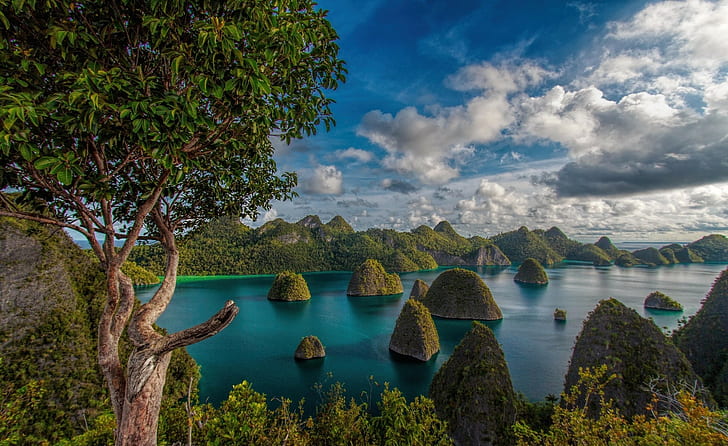 mountain clouds forest tropical raja ampat indonesia island sea trees beach exotic nature green turquoise white blue landscape, HD wallpaper