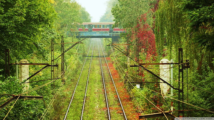 Train Passing Over Train Tracks, trees, overpass, cars, HD wallpaper