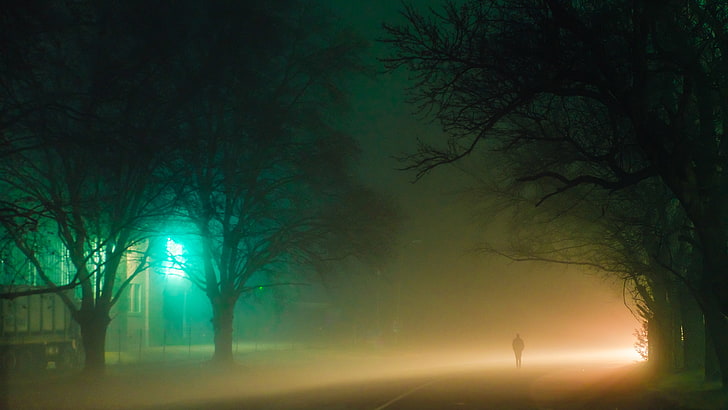 night, long exposure, street, street light, fog, illuminated