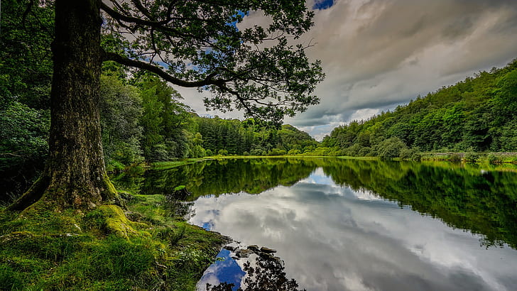 landscape, England, nature, lake, trees, HD wallpaper