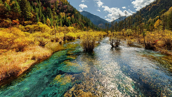 vegetation, sichuan, national park, mountain, jiuzhai valley national park