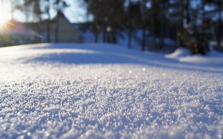 selective focus photograph of snow, depth of field, winter, cold temperature