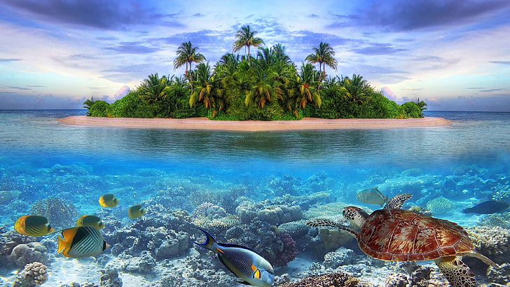 island, turtle, palms, blue water, underwater, fish